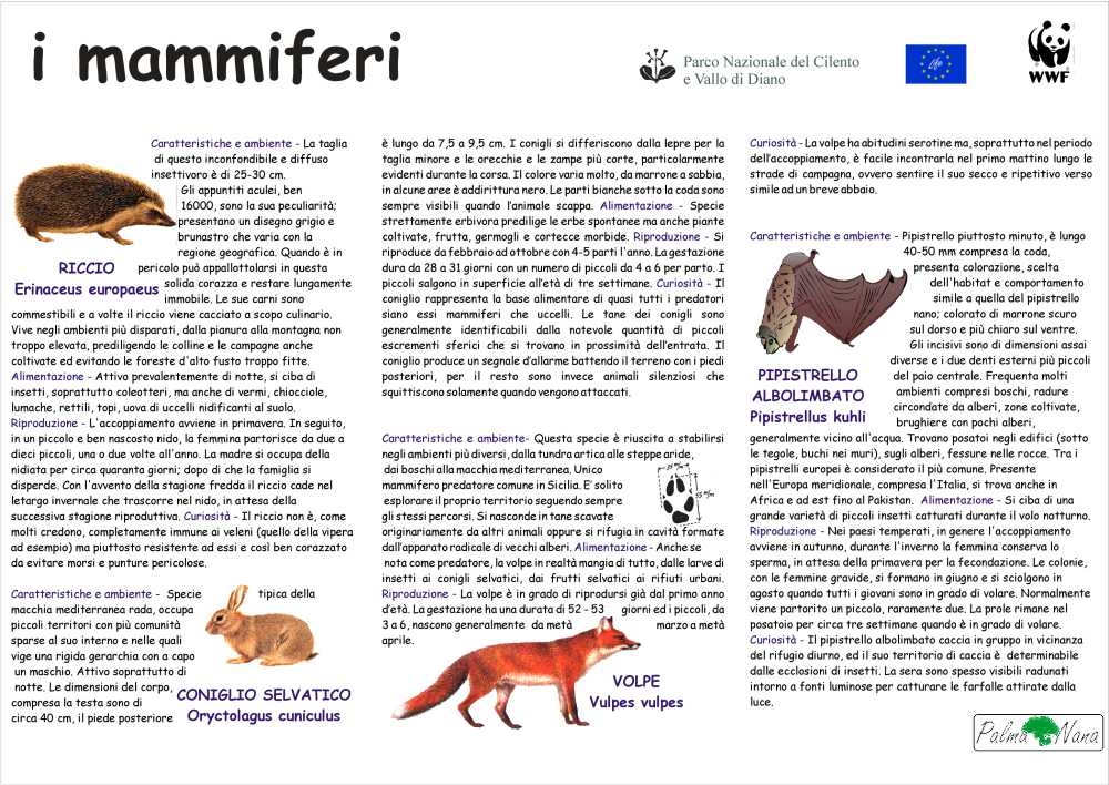 I Mammiferi del Parco del Cilento e Vallo di Diano