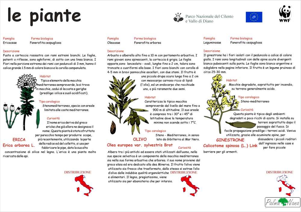Le piante del Parco del Cilento e Vallo di Diano