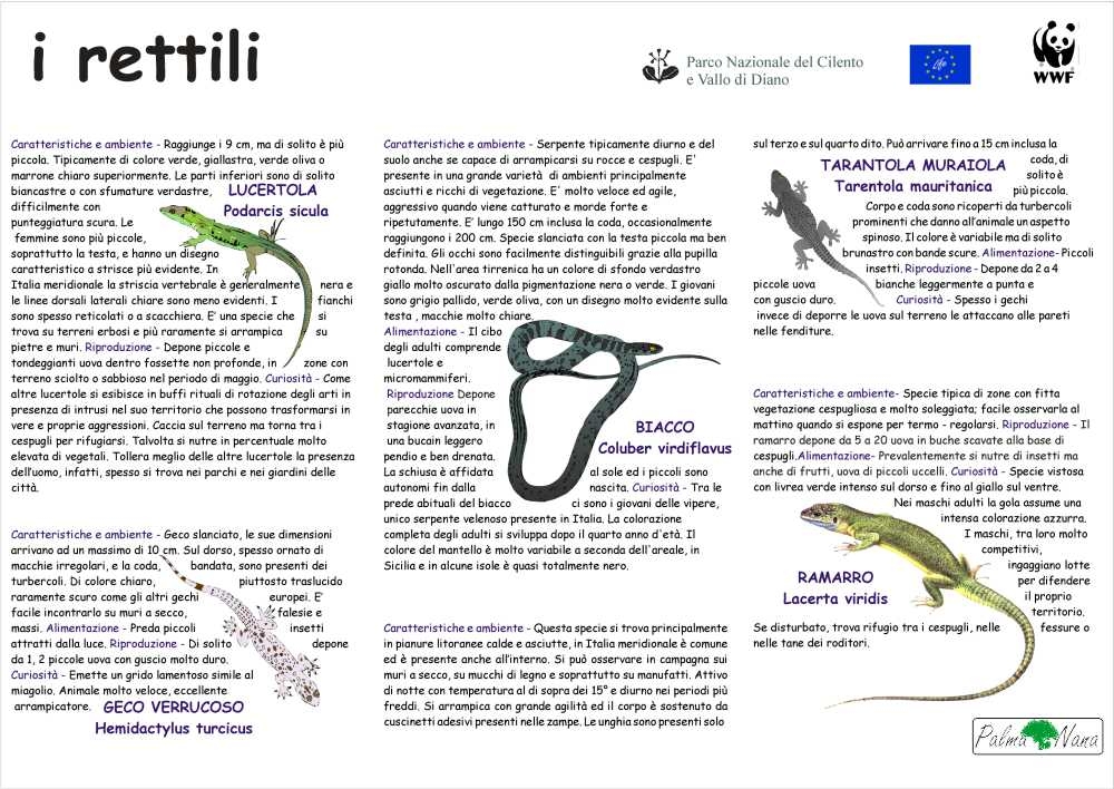 I Rettili del Parco del Cilento e Vallo di Diano