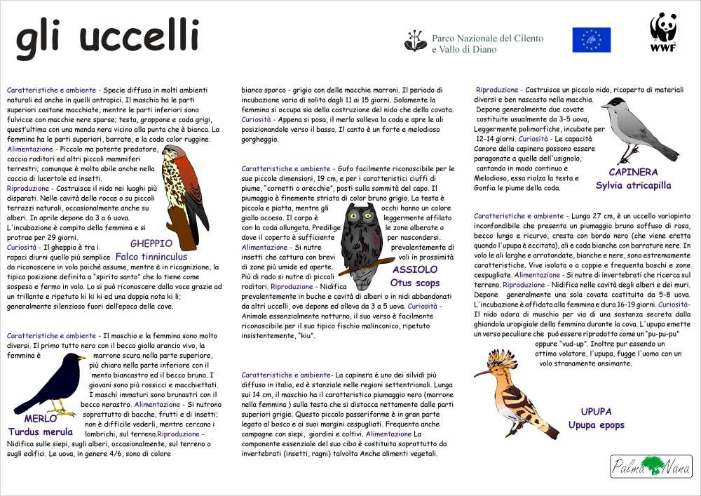 Gli Uccelli del Parco del Cilento e Vallo di Diano