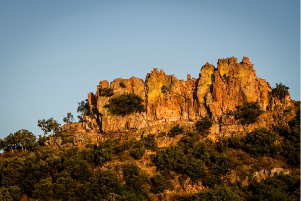 Formazione Docenti e Alunni - CEA SERRA GUARNERI