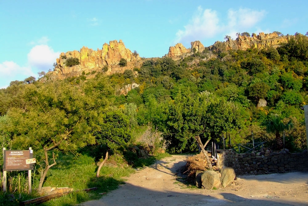 STAGE RESIDENZIALE - Licei ed Istituti Superiori