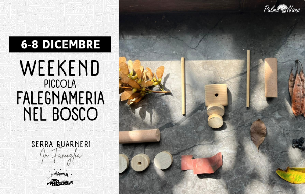 6-8 Dicembre - Weekend Piccola Falegnameria nel Bosco