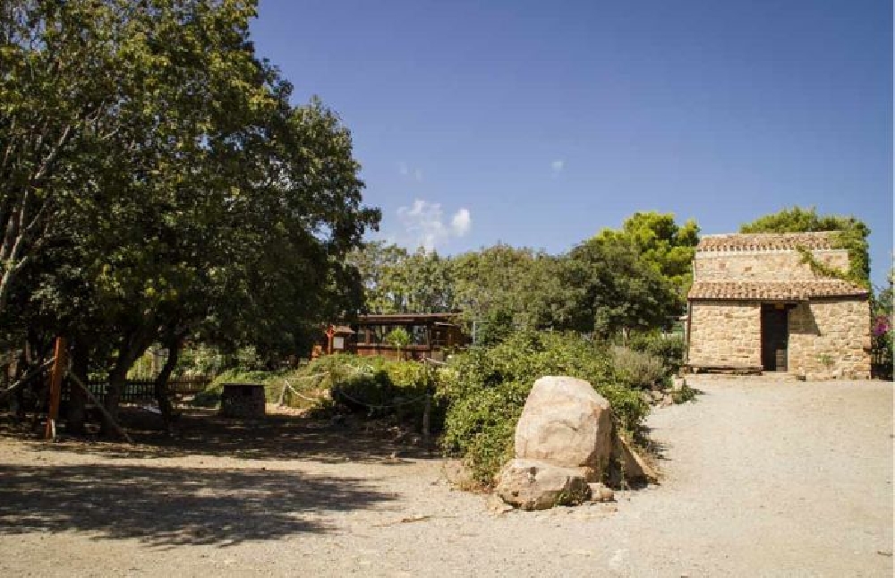 Campo Scuola - NEL BOSCO