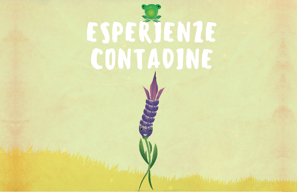 Esperienze Contadine 2018 - LAVANDA E GRANO