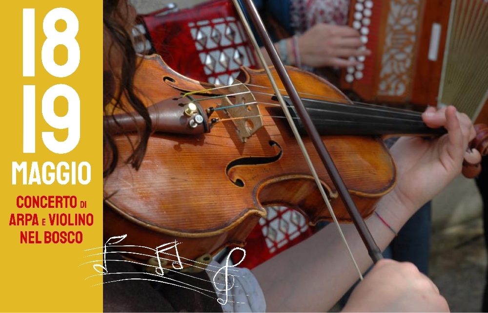 2019 - Concerto di Arpa e Violino nel bosco