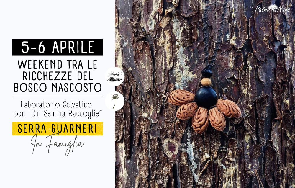 Evento Passato - Weekend tra Le ricchezze del bosco nascosto