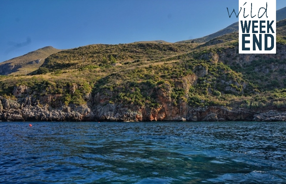 Weekend Zingaro via terra e via mare