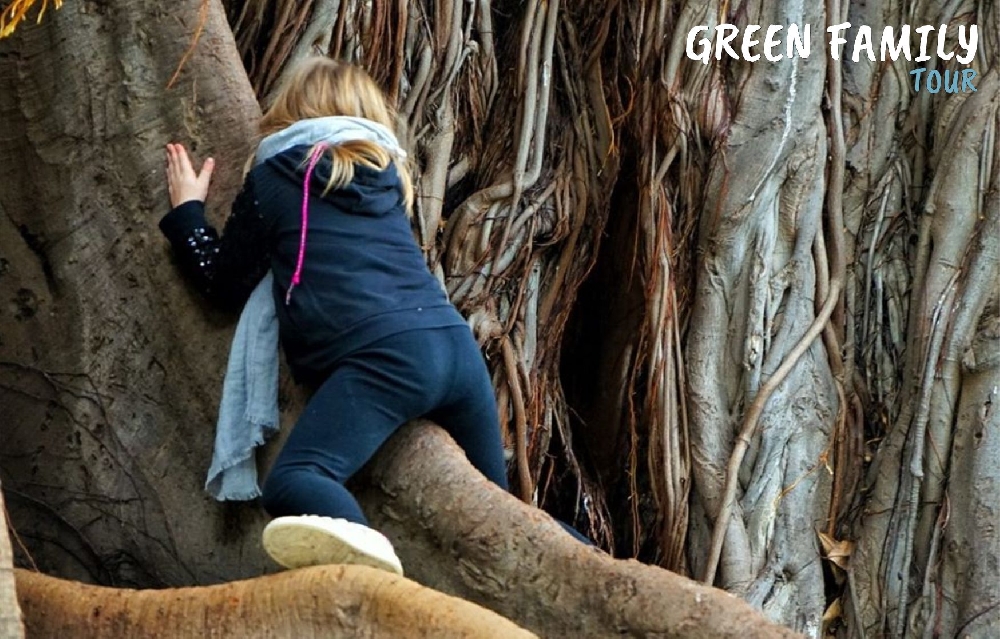 Evento Passato - VILLA GARIBALDI