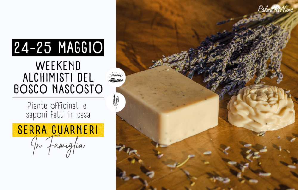 Evento Passato - 24-25 Maggio - Weekend Alchimisti del Bosco Nascosto