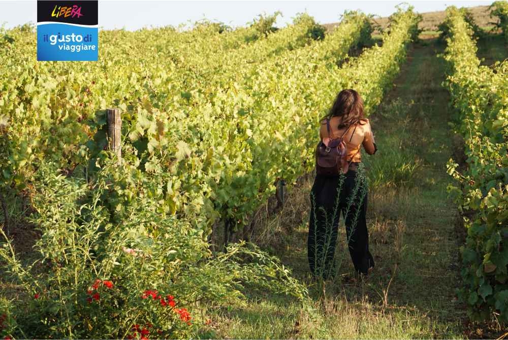 Passeggiata con degustazione tra le vigne - Centopassi