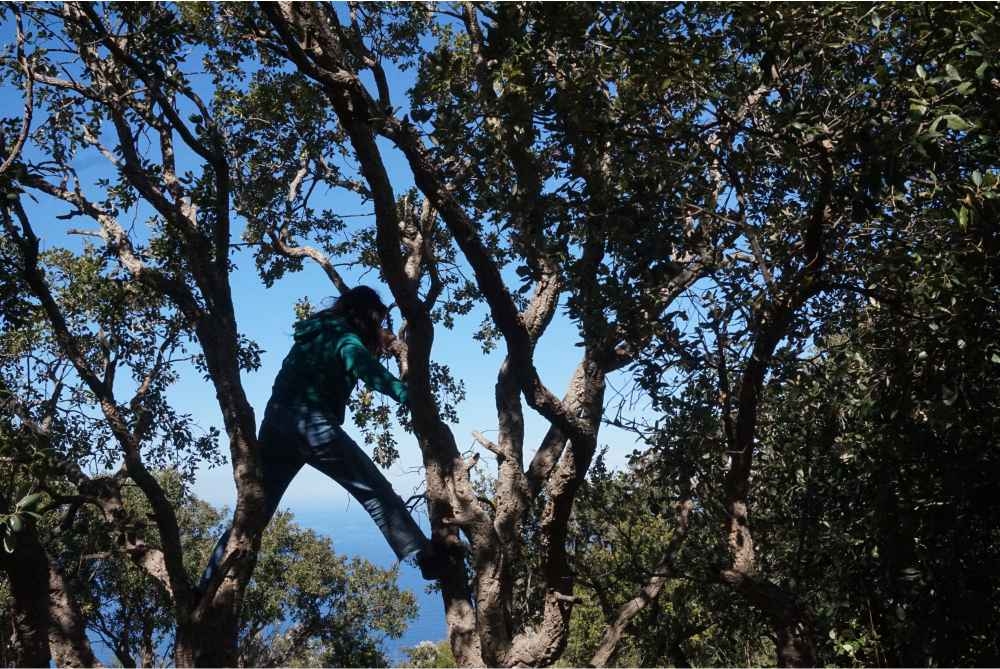 2020 - Weekend Alla ricerca del tempo perduto