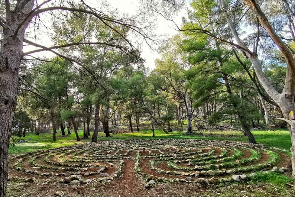 Evento Passato - Il labirinto di Monte Pellegrino