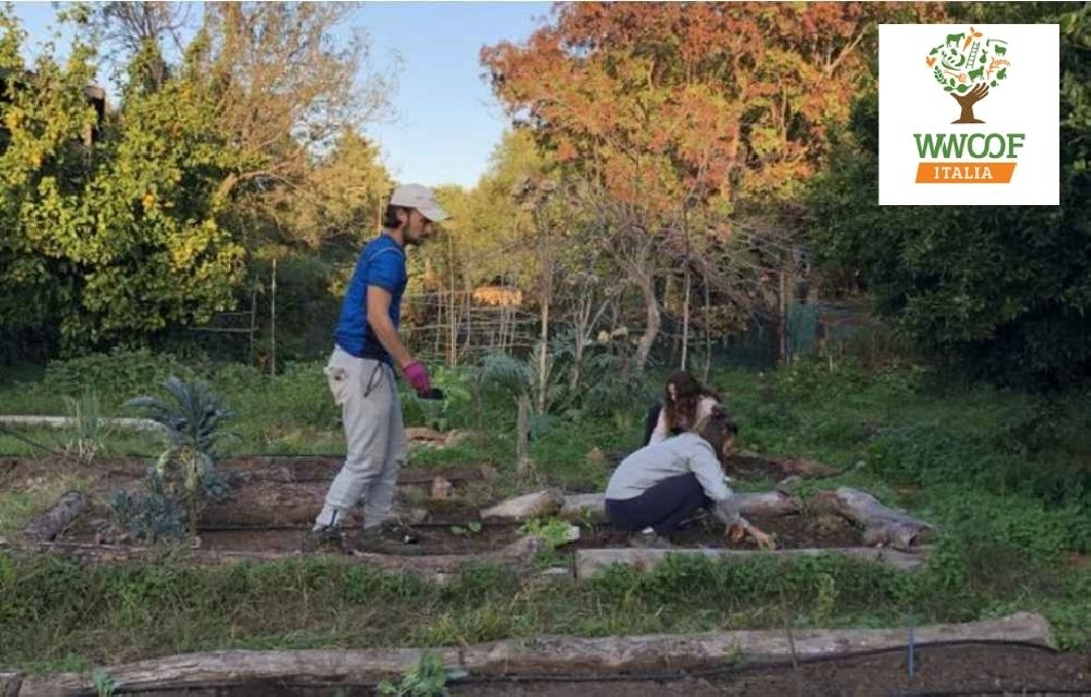 WWOOF  - Volontari a Serra Guarneri