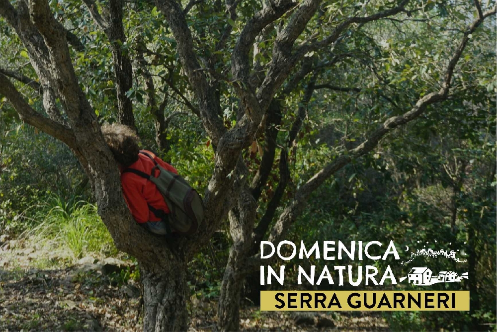 Evento Passato - Racconti nel bosco di Guarneri