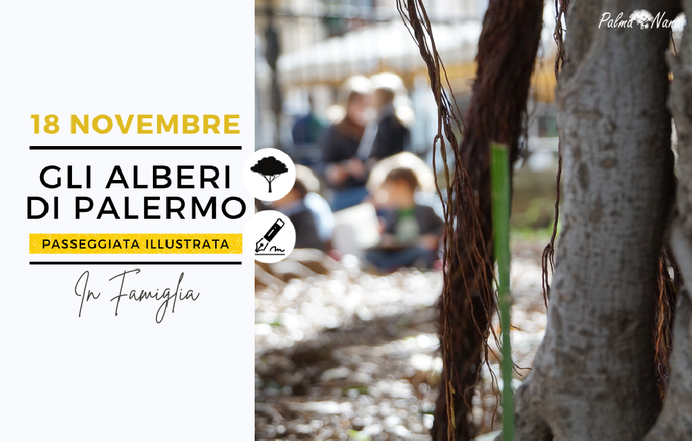Evento Passato - Gli Alberi di Palermo