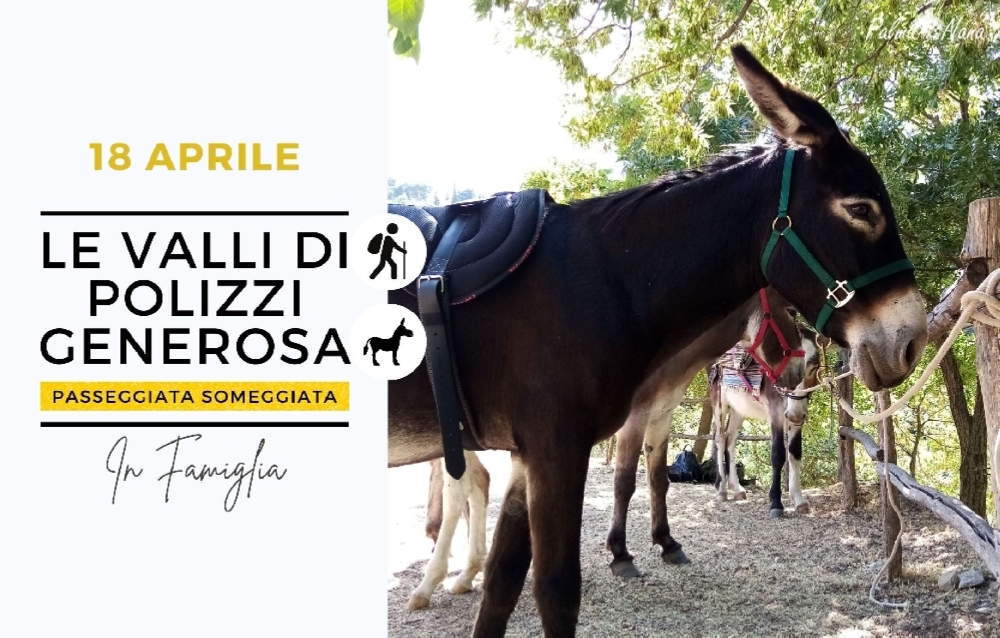 Evento Passato - Passeggiata Someggiata Polizzi Generosa