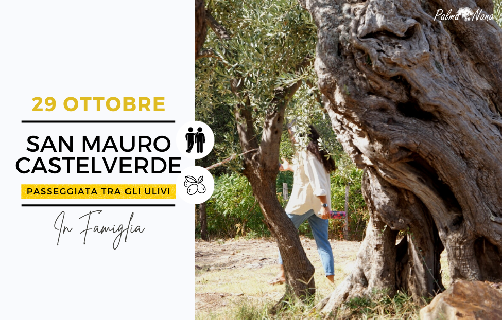 Evento Passato - Tra gli Ulivi di San Mauro Castelverde