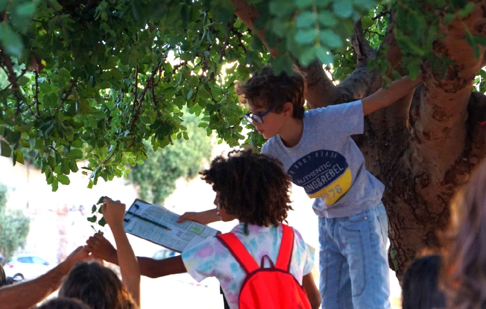 Piazza Magione - Esplorazioni in città