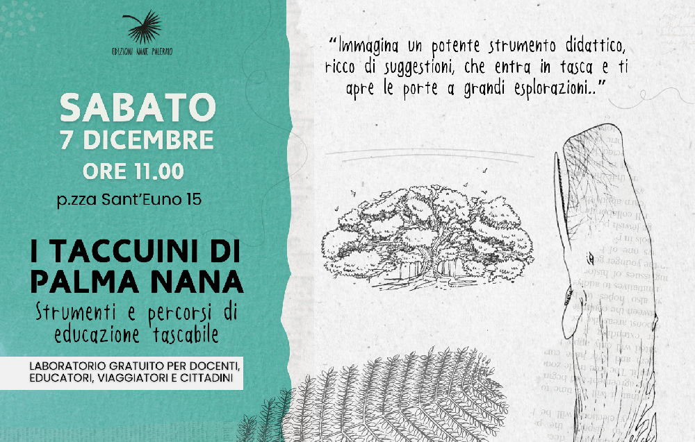 7 Dicembre - I Taccuini di Palma Nana