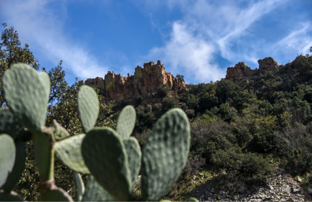 2018 - WeekEnd Fotografando