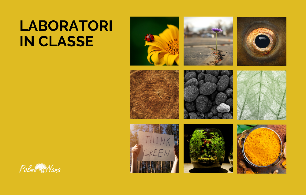Tutti i Laboratori IN CLASSE
