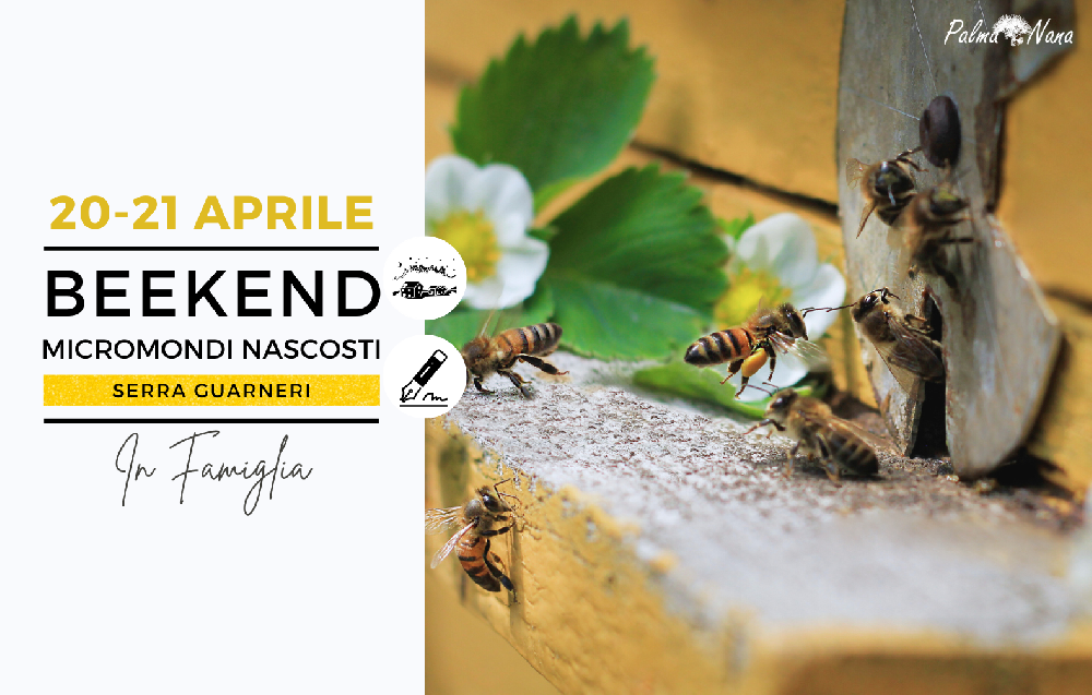 Evento Passato - Beekend Micromondi Nascosti
