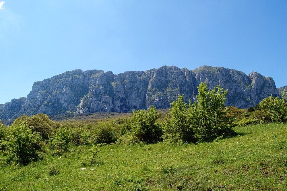 Riserva Bosco di Ficuzza