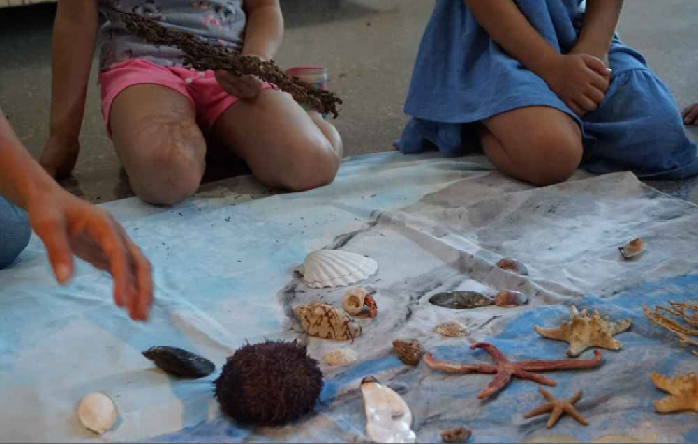 Ecomuseo Mare Memoria Viva